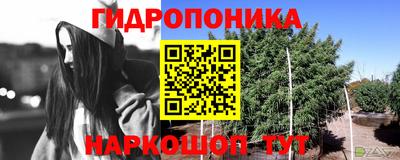 гидра Ирбит
