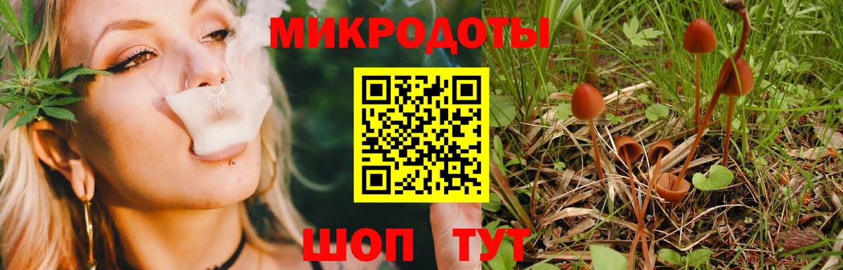 Когалым  Галлюциногенные грибы прущие грибы  Галлюциногенные грибы Psilocybe  Вход с VPN 
